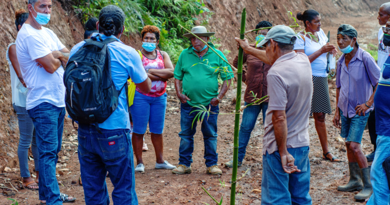 Bamboo Project Commences