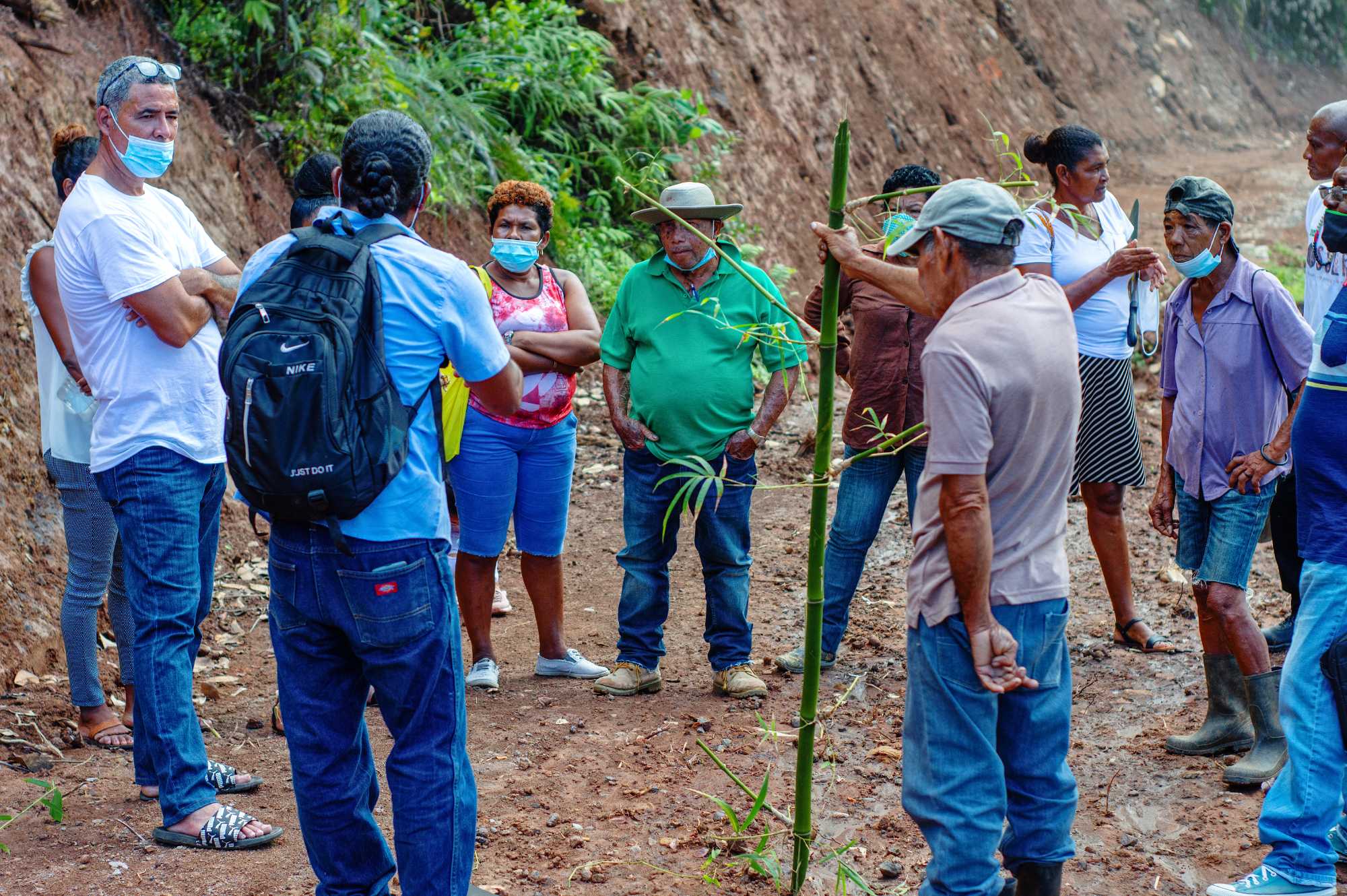 Bamboo Project Commences